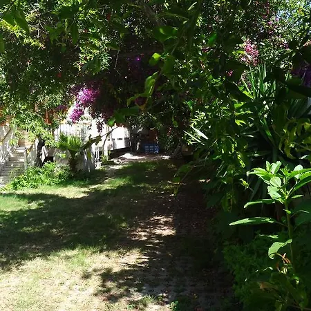 Ξενοδοχείο Lale Park 2*